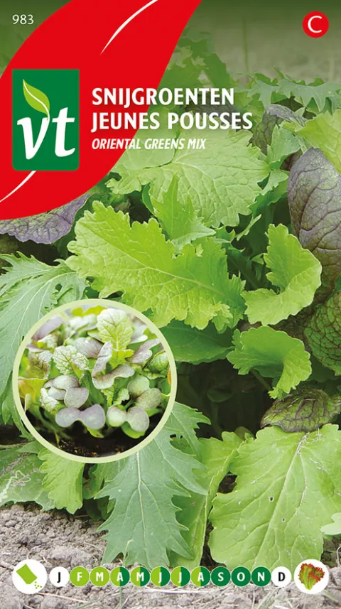 SLA SNIJGROENTEN MIX ORIENTAL GREENS
