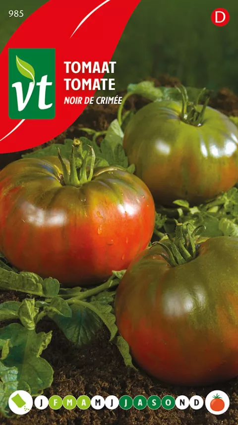 TOMAAT NOIR DE CIMÉE