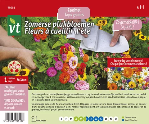 ZOMERSE PLUKBLOEMEN