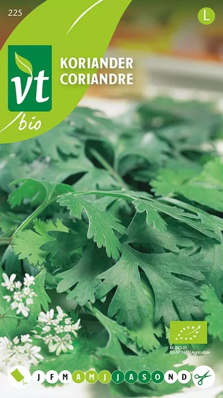 KORIANDER BIO