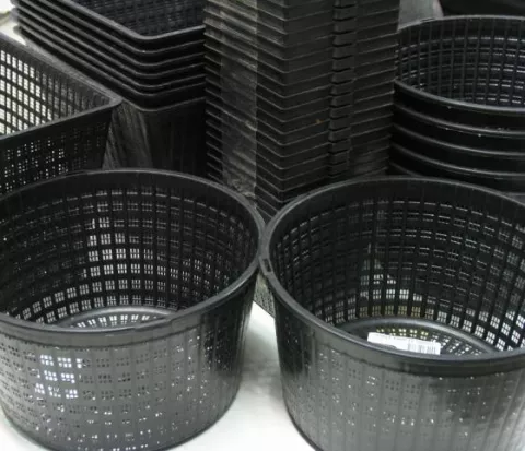 WATERPLANTMAND VIERKANT