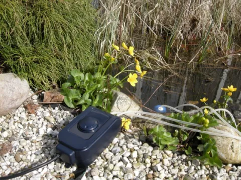 AIR HOSE SLANG VOOR AIR 100/200/1000