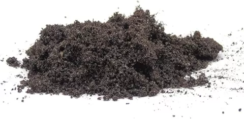 POTGROND WATERLELIES 