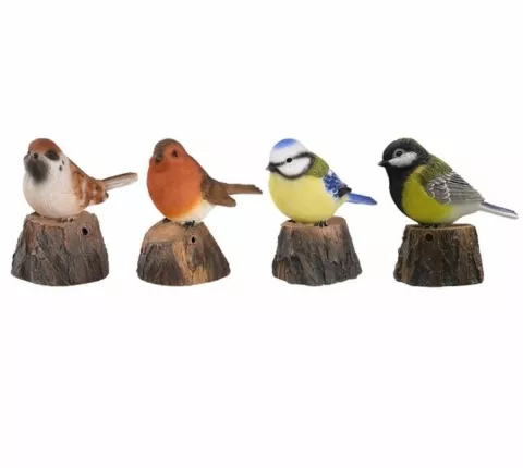 WELKOM VOGEL ESSCHERT