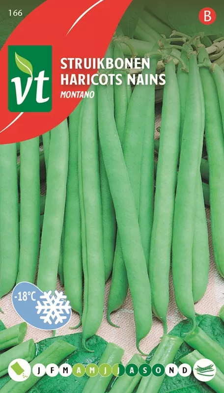 BONEN STRUIK MONTANO