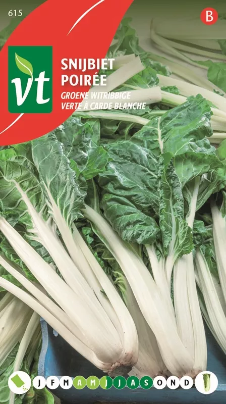 BIET SNIJBIET GROENE WITRIBBIGE