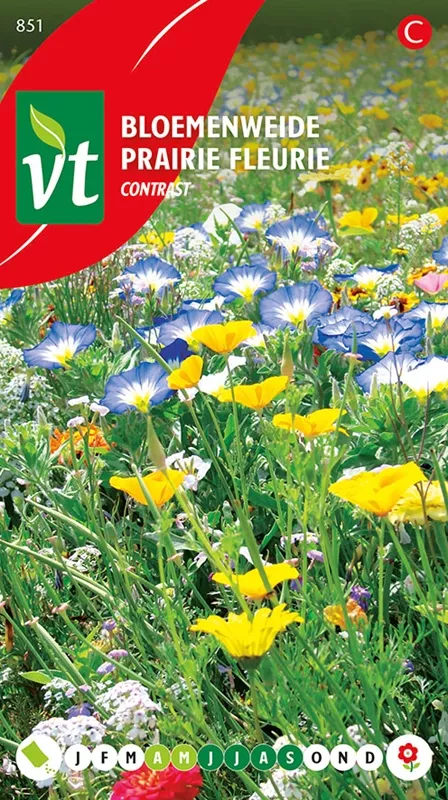 BLOEMENWEIDE CONTRAST