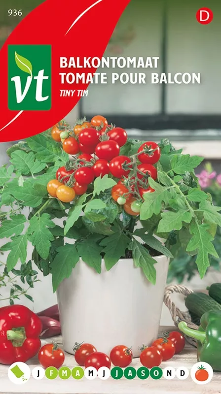 TOMAAT VOOR BALKON TINY TIM