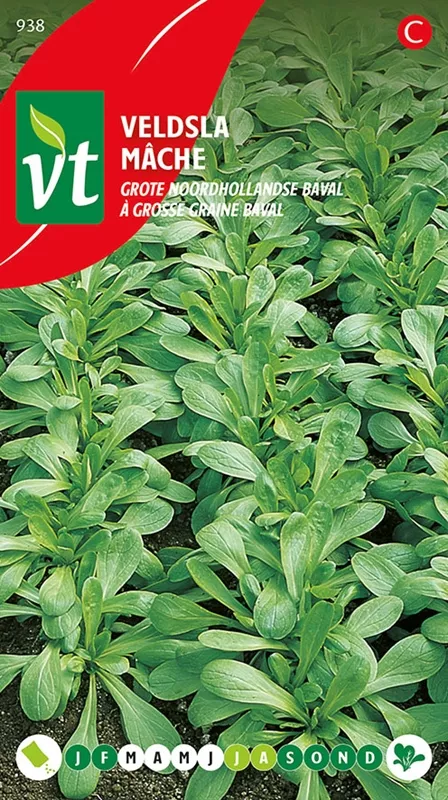 VELDSLA GROTE NOORDHOLLANDSE BAVAL