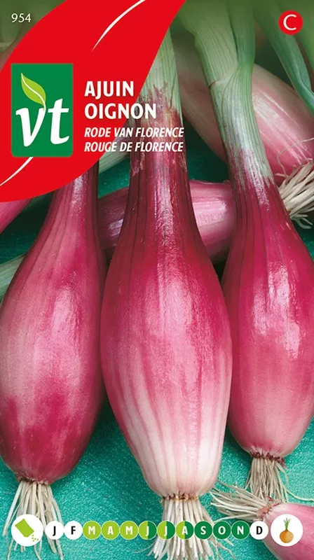 AJUIN RODE VAN FLORENCE