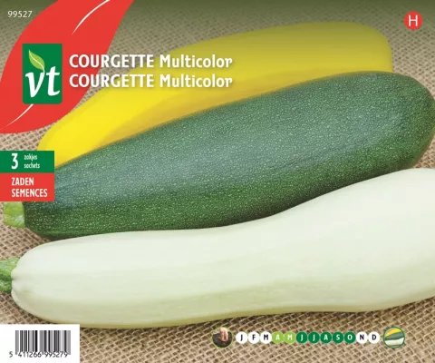 COURGETTE MULTICOLOR