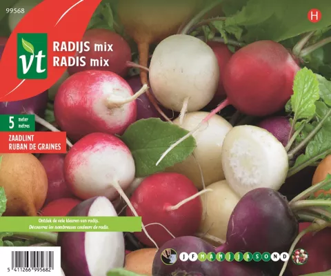 RADIJS KLEURRIJK MENGSEL