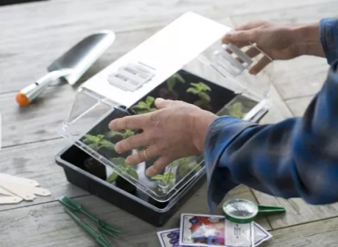 DEKSEL VOOR KWEEKBAK