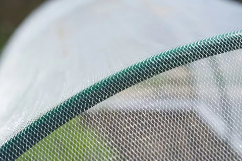 ANTI-INSECTENGAAS
