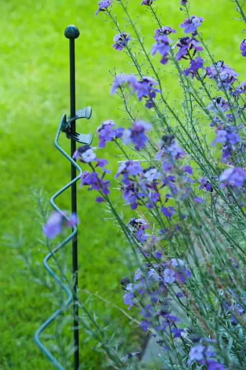 BORDERRAND VOOR PLANTENSTEUN MET VERSTELBARE CLIP