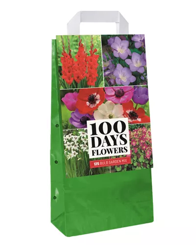 Bulb Garden MIX 100 days flowers