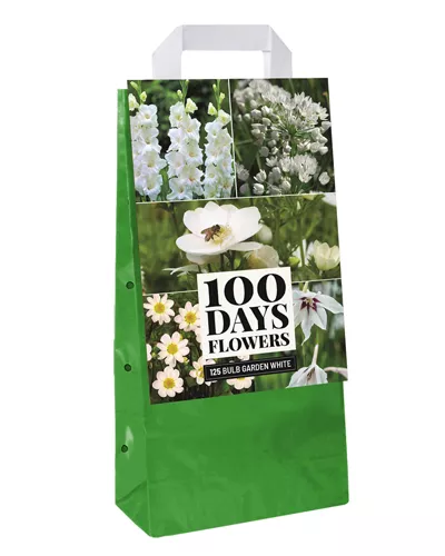Bulb Garden WHITE 100 days flowers