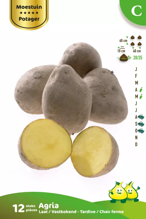 Aardappel Agria