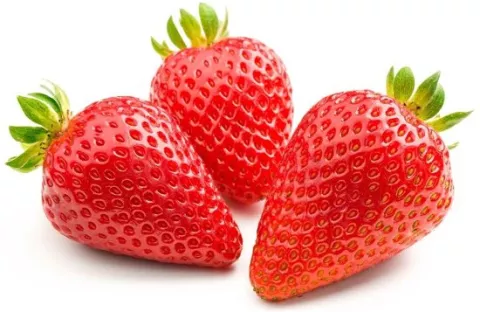 Aardbei GORELLA vroeg