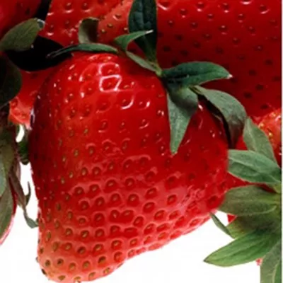 Aardbei RODE VRUCHTEN