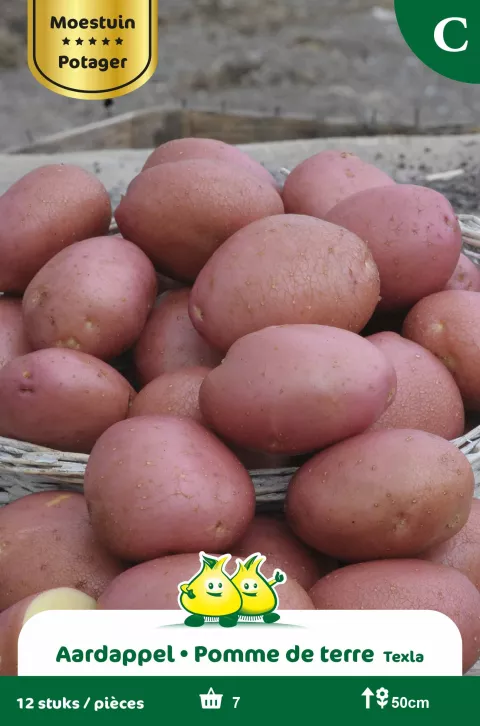 Aardappel Texla