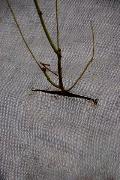 BIO GRONDDOEK ÖKOLYS (per lm)