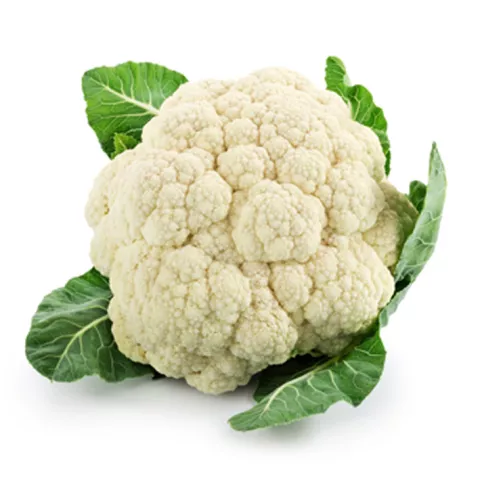 BLOEMKOOL WINTER