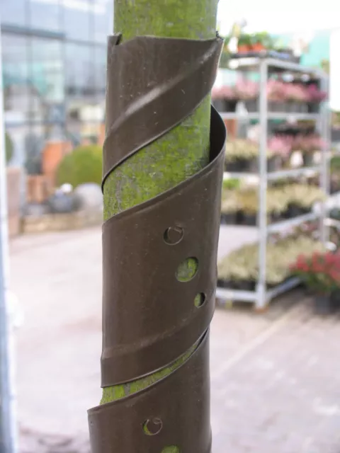 BOOMBESCHERMER (grijs kunststof) spiraal