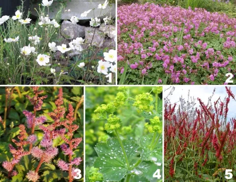 Borderpakket 'Schaduw'