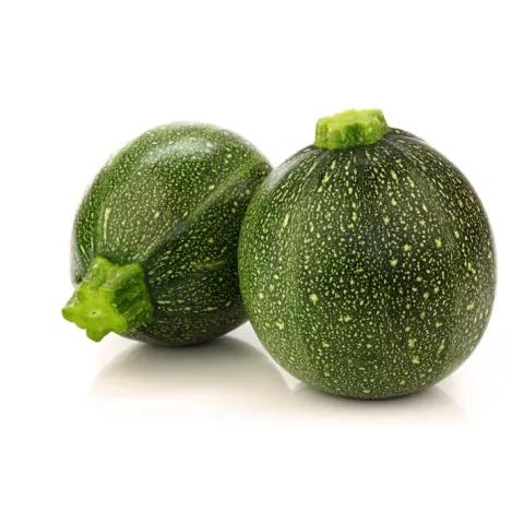 COURGETTE RONDE DE NICE