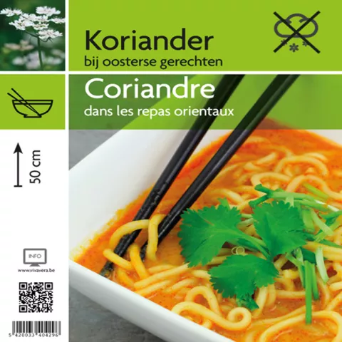 KORIANDER Coriandrum sativum