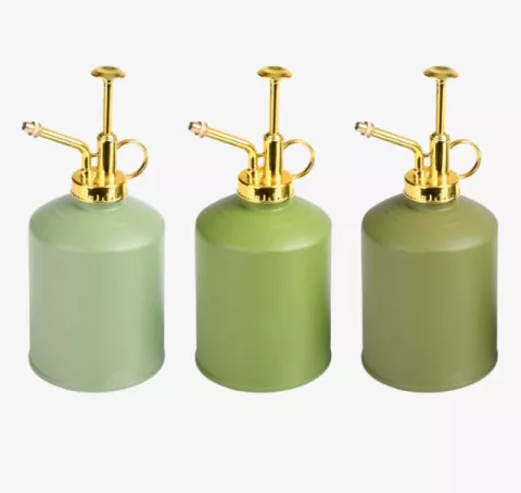 PLANTENSPROIER GROENTINTEN ESSCHERT