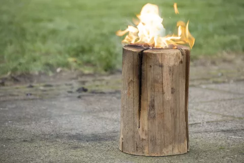 ZWEEDSE FAKKEL VUUR ESSCHERT