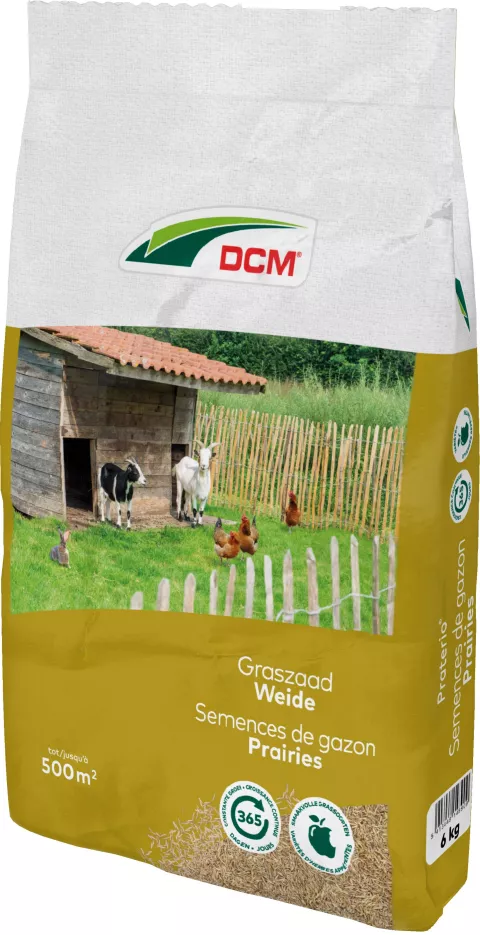 GRASZAAD WEIDE DCM