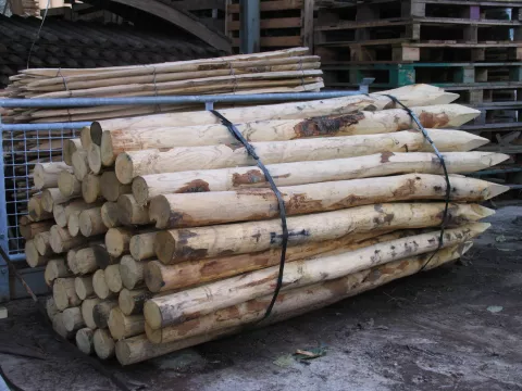 Kastanje palen diam.  6/8cm