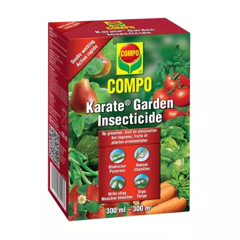 COMPO KARATE  CONCEN