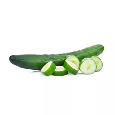 KOMKOMMER BURPLESS TASTY GREEN F1