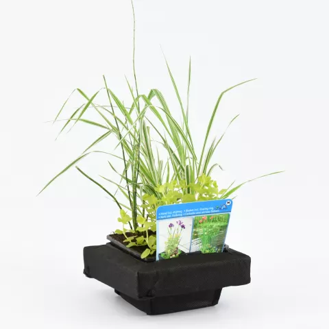 Mixmand met drijfring