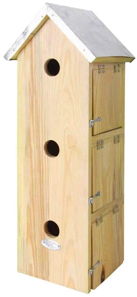 MUSSENVILLA ESSCHERT