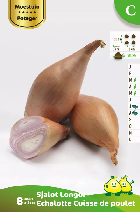 Sjalot Cuisse De Poullet