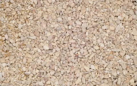 YELLOW SUN in BIGBAG