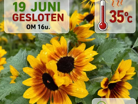 Sluiting-Hitte