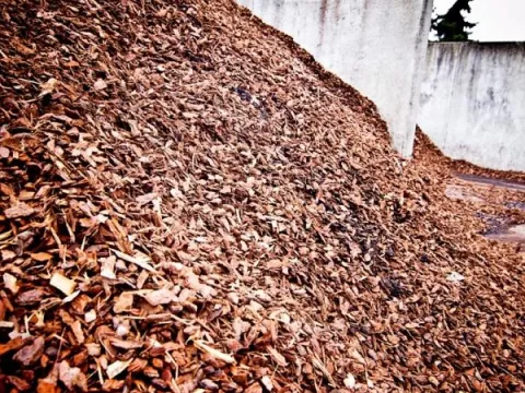 Boomschors en grondbedekking